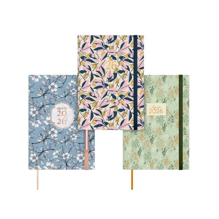 Finocam Dynamic Berlin Pack de 4 Agendas en Catalan - Anual 2026 - Cierre de Goma - Formato Y10 - 1 Dia por Pagina - Color Surt