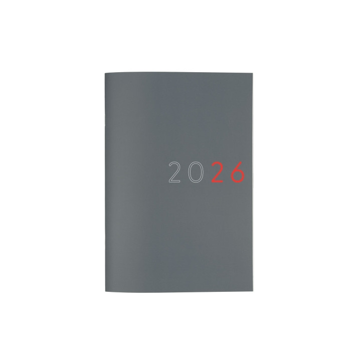 Finocam Agenda Planificador Internacional - Anual 2026 - Espacio para Escribir - Formato Y11 - 165x5x240mm - Mes Vista - Color