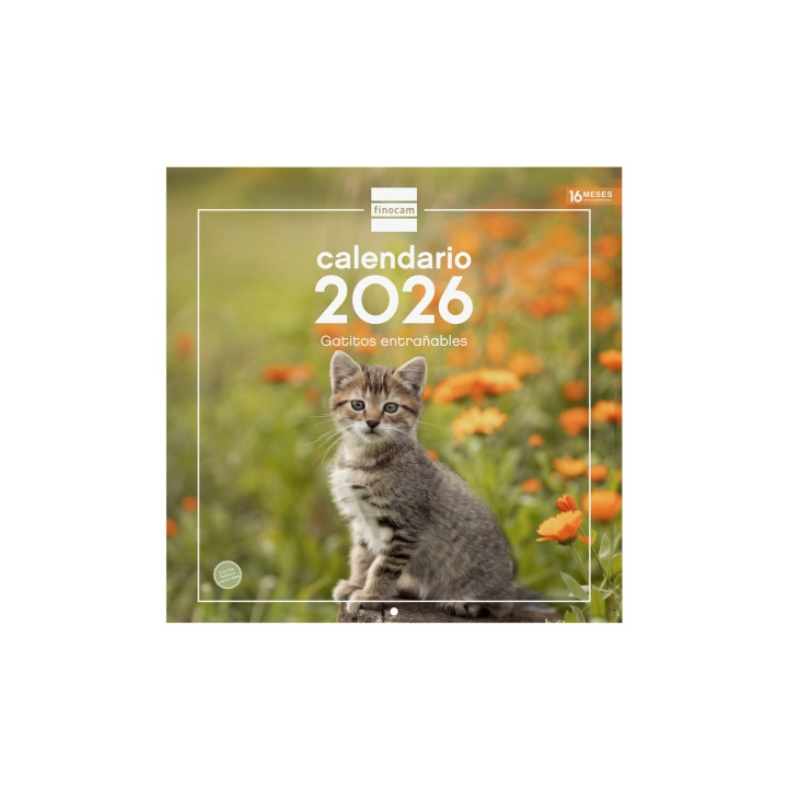 Finocam Calendario de Pared - Anual 2026 - Imagenes Variadas - 300x300mm - Espacio para Escribir - Tematica de Gatos