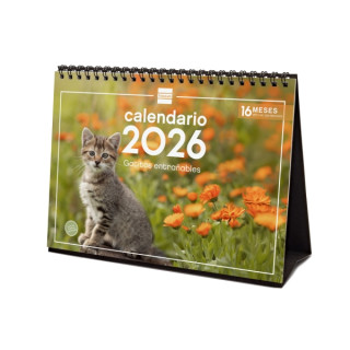 Finocam Calendario de Sobremesa - Anual 2026 - Imagenes Variadas - Espacio para Escribir - Tematica de Gatos