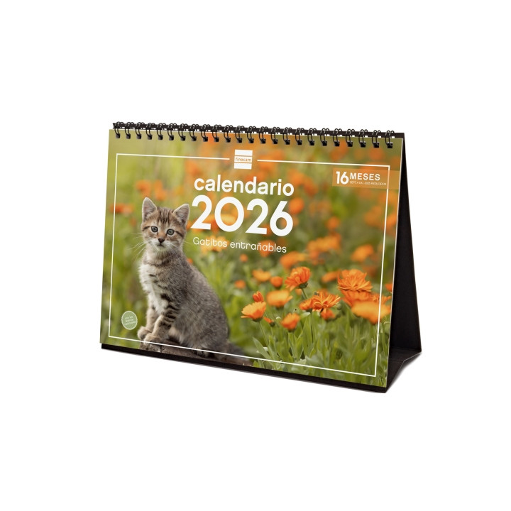 Finocam Calendario de Sobremesa - Anual 2026 - Imagenes Variadas - Espacio para Escribir - Tematica de Gatos