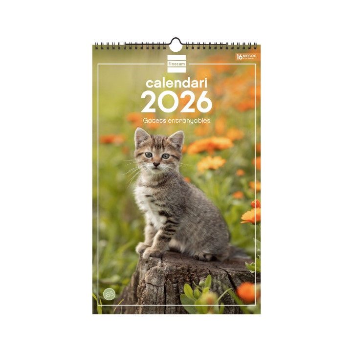 Finocam Calendario de Pared en Catalan - Anual 2026 - Imagenes Variadas - con Espiral - Espacio para Escribir - Tematica de Gat