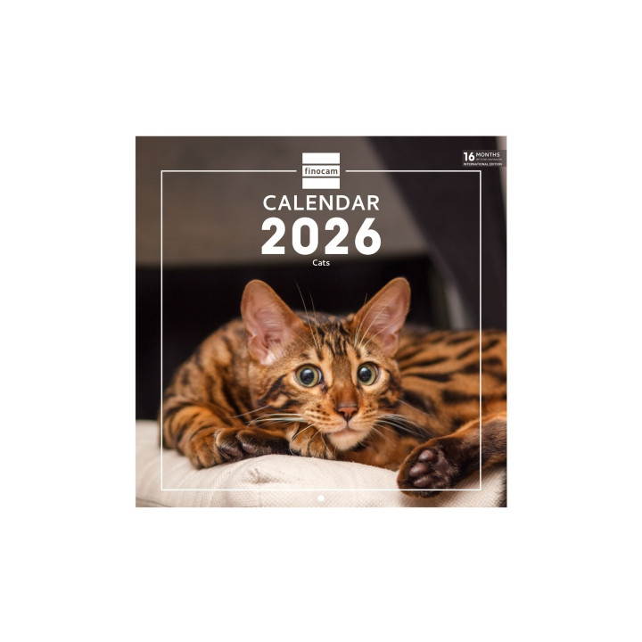 Finocam Calendario de Pared Internacional - Anual 2026 - Imagenes Variadas - 311x5x305mm - Tematica de Gatos