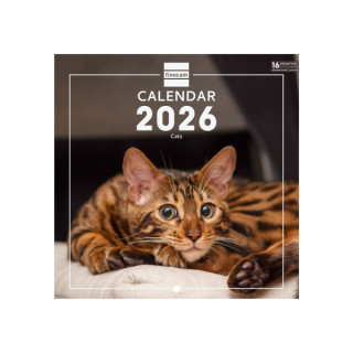 Finocam Calendario de Pared Internacional - Anual 2026 - Imagenes Variadas - 191x5x185mm - Tematica de Gatos