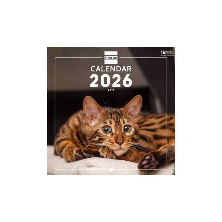 Finocam Calendario de Pared Internacional - Anual 2026 - Imagenes Variadas - 191x5x185mm - Tematica de Gatos