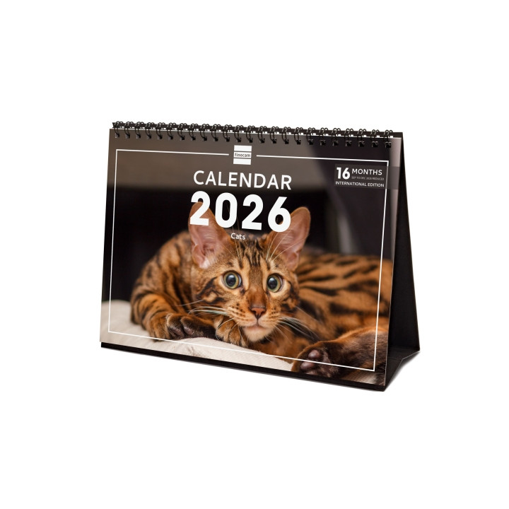 Finocam Calendario de Sobremesa Internacional - Anual 2026 - Imagenes Variadas - 210x70x155mm - Tematica de Gatos