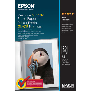 Epson Papel Premium Glossy Photo 255g