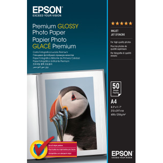 Epson Papel Premium Glossy Photo 255g