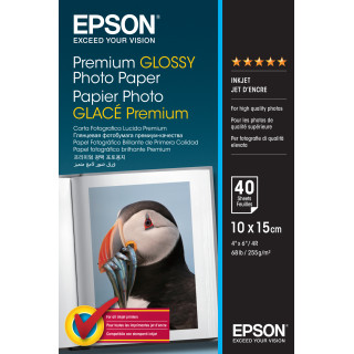 Epson Papel Premium Glossy Photo 255 gr