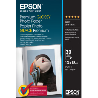 Epson Papel Premium Glossy Photo 255 gr