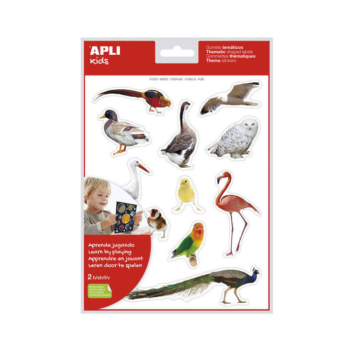 Apli Gomets Tematicos Realistas de Aves - 24 Gomets en 2 Hojas - Imagenes Realistas para Relacionar Aves - Desarrolla Habilidad