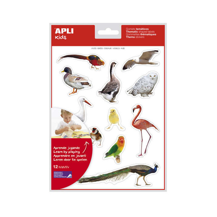 Apli Gomets Tematicos Realistas de Aves - 144 Gomets en 12 Hojas - Imagenes Realistas para Relacionar Aves - Desarrolla Habilid