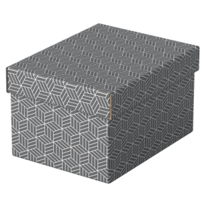 Pack 3 cajas grises 255x200x150mm esselte 628281