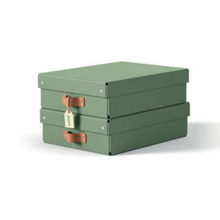 Pack 2 cajas de almacenamiento cartón mediana baja color verde leitz 61480050