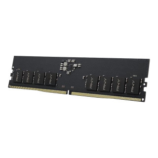 PNY Performance Memoria RAM DDR5 8GB 5600MHz CL46