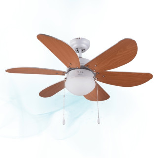 Cecotec EnergySilence Aero 360 Ventilador de Techo con 6 Aspas Reversibles y Luz - 50W - 91cm de Diametro - Silencioso - Modo In