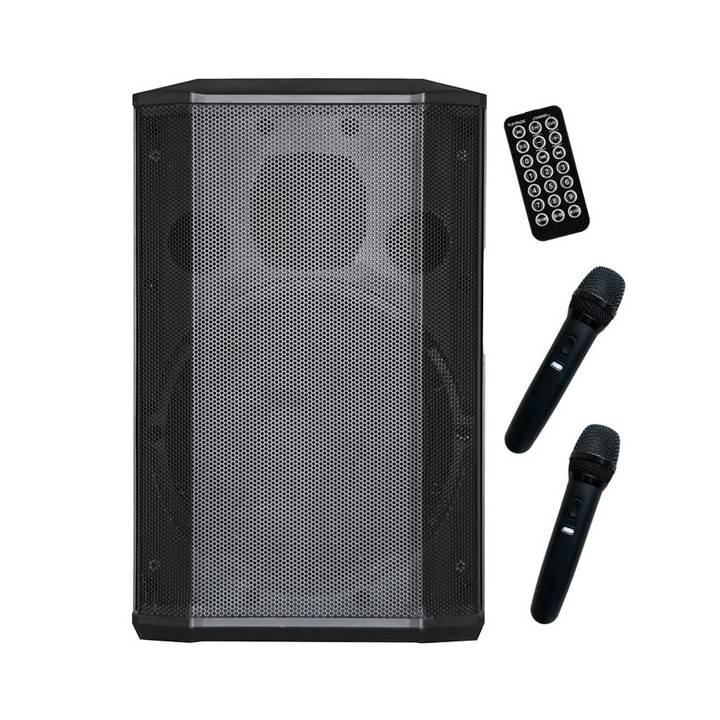 Coolsound Pro 600 Altavoz Autoamplificado Bluetooth 500W 8" 100W RMS con Bateria - True Wireless - USB