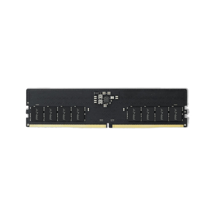 PNY Performance Memoria RAM DDR5 16GB 5600MHz CL46 Bulk