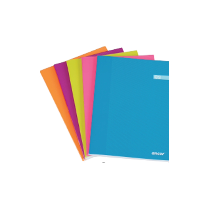 LIBRETA FOLIO CST 48 HOJAS 60G Q4X4 ST ANCOR 061291