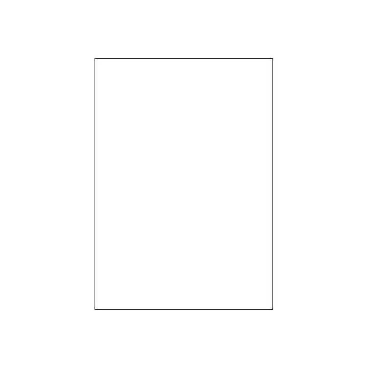 CAJA 100 HOJAS ETIQUETAS BLANCAS SIN MÁRGENES-LÁSER/INYECCIÓN DE TINTA/FOTOCOPIADORAS-210X297 MM MEGASTAR LP4MS-210297