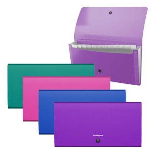 Erichkrause Clasificadores Matt Vivid - 12 Fundas - Tamaño Cheque - Colores Surtidos