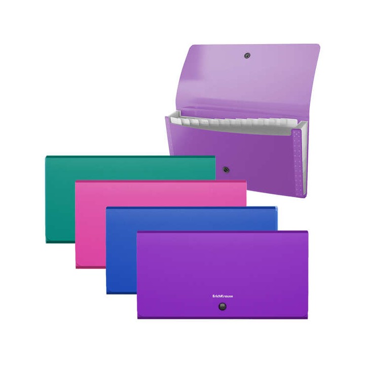 Erichkrause Clasificadores Matt Vivid - 12 Fundas - Tamaño Cheque - Colores Surtidos