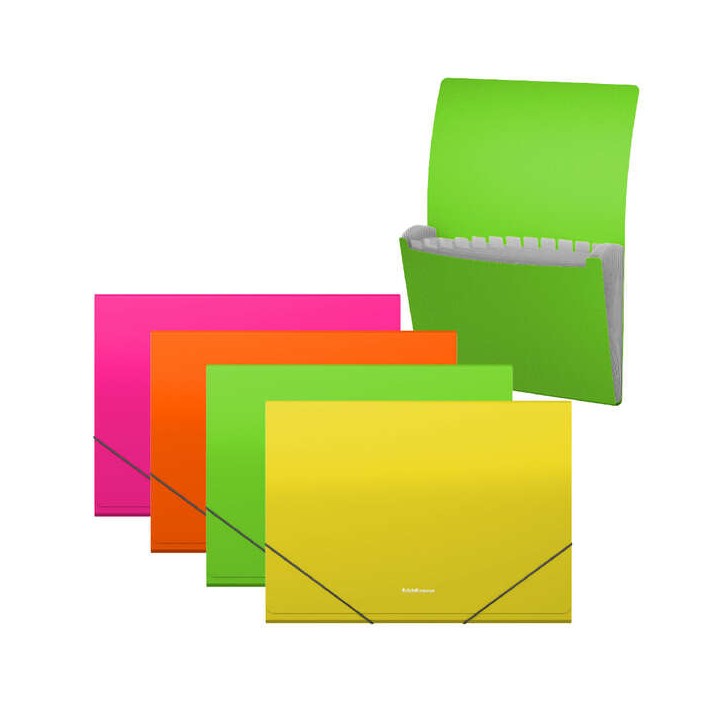 Erichkrause Clasificadores Matt Neon - 12 Fundas - Tamaño A4 - Color Surtidos