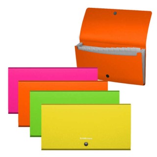 Erichkrause Clasificadores Matt Neon - 12 Fundas - Tamaño Cheque - Colores Surtidos