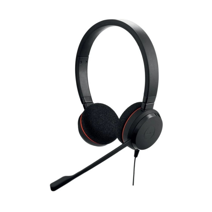 Jabra Evolve 20 Auriculares con Microfono USB - Cancelacion de Ruido - Diadema Ajustable - Controles en Cable - Color Negro
